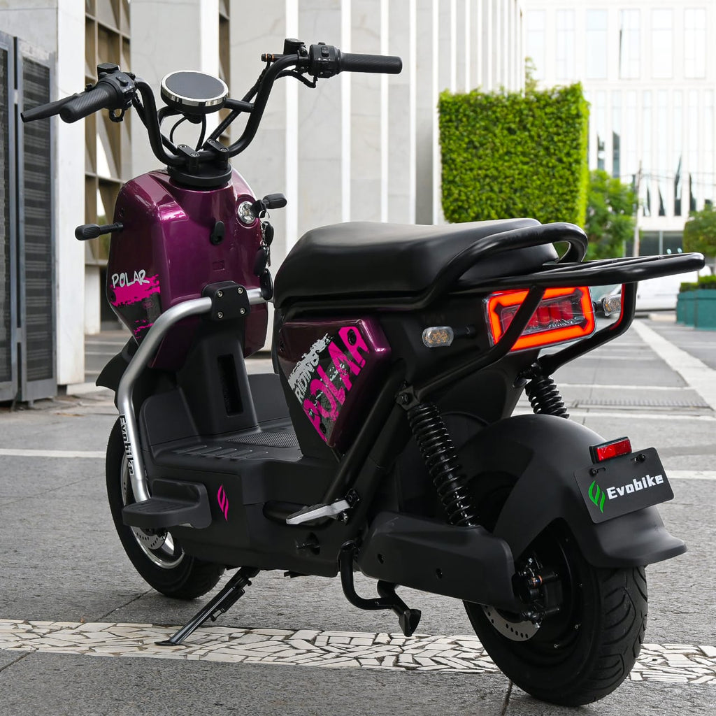 EVOBIKE POLAR - Bicicleta Eléctrica Todo Terreno 350W con 65km Autonomía